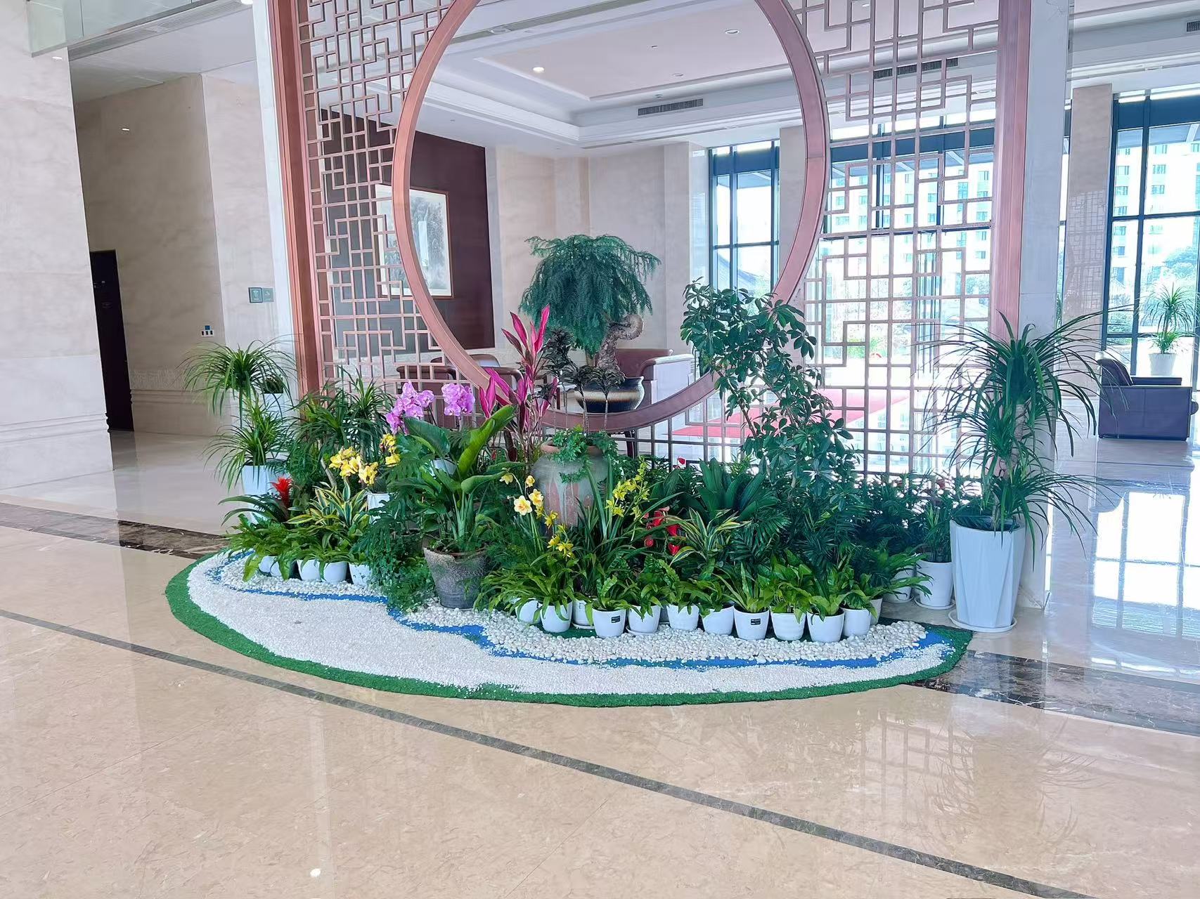 北仑绿植租赁，为家居打造别样生机与自然